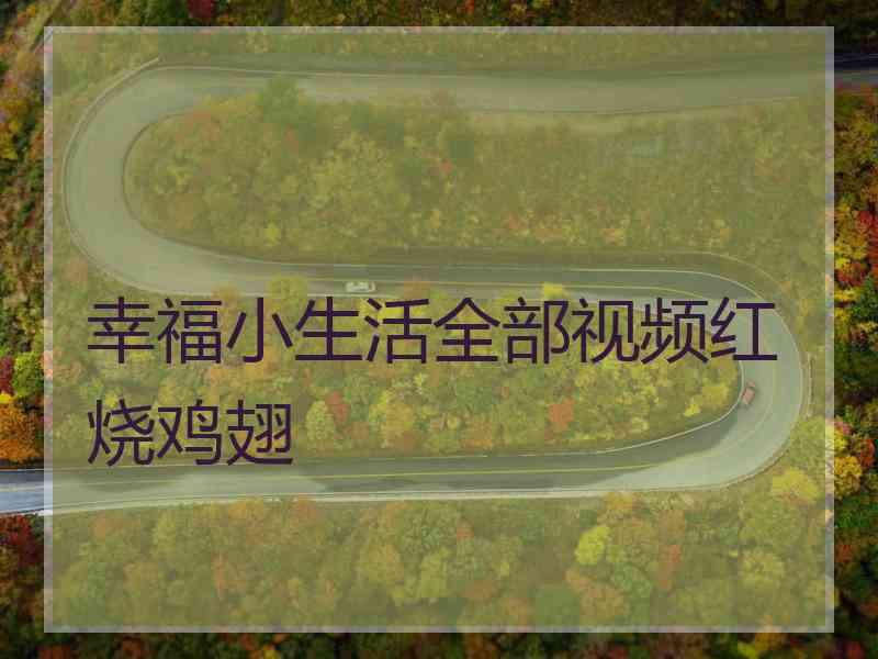 幸福小生活全部视频红烧鸡翅