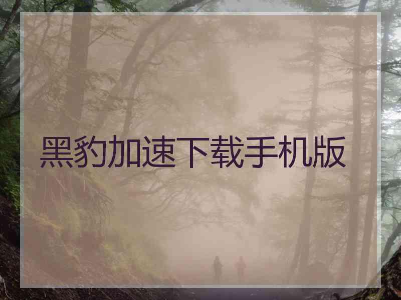 黑豹加速下载手机版