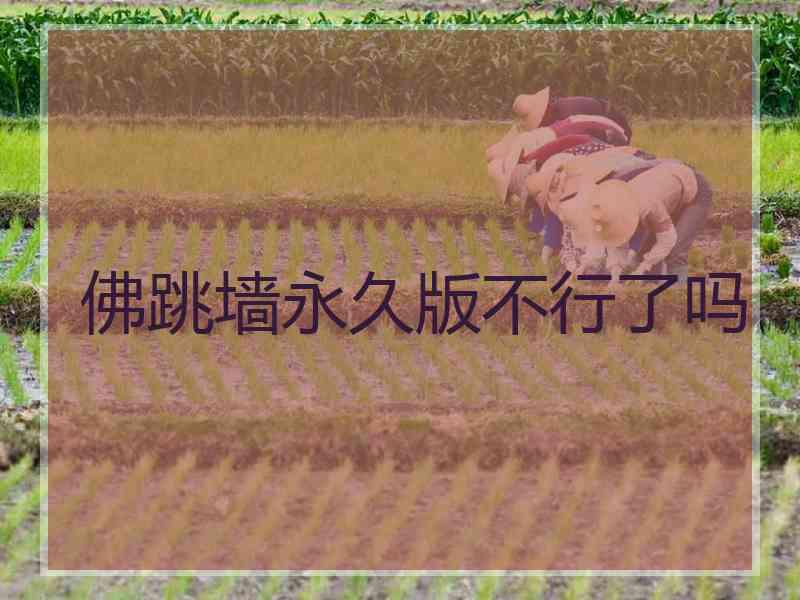 佛跳墙永久版不行了吗