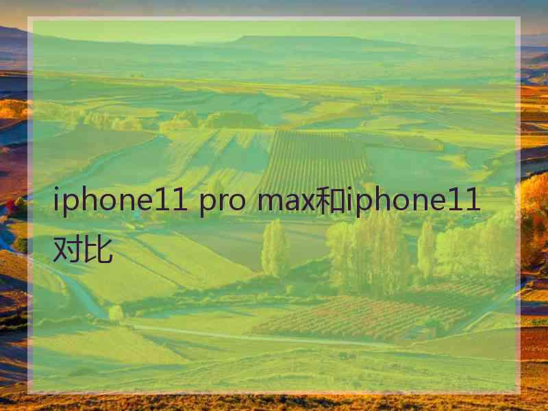 iphone11 pro max和iphone11对比