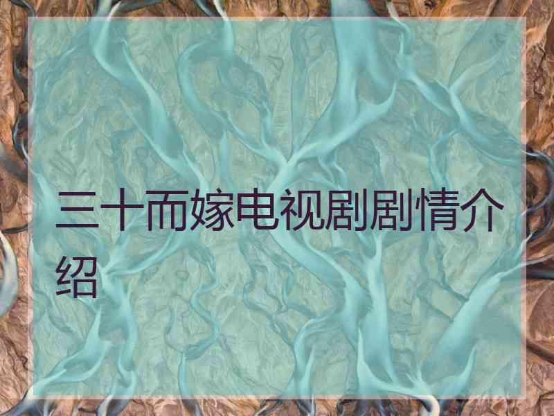 三十而嫁电视剧剧情介绍