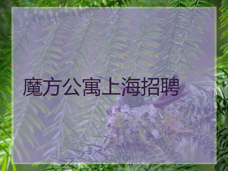 魔方公寓上海招聘
