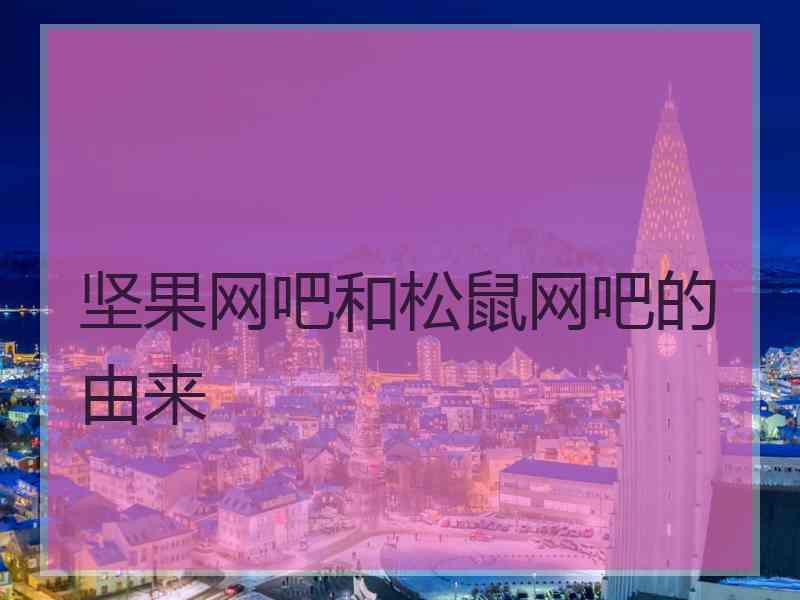 坚果网吧和松鼠网吧的由来
