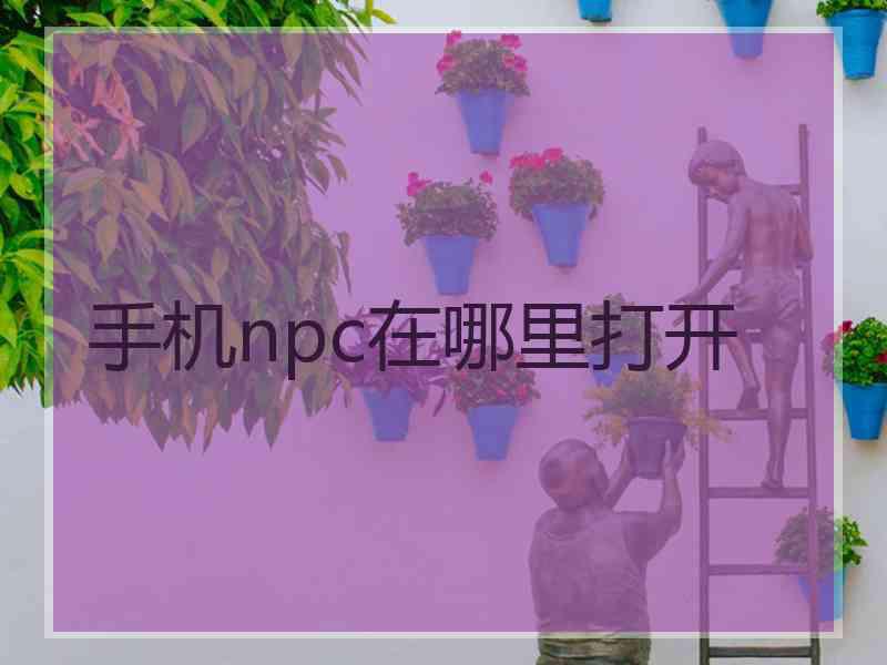 手机npc在哪里打开