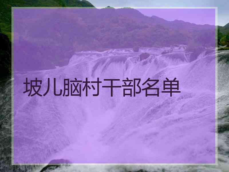 坡儿脑村干部名单