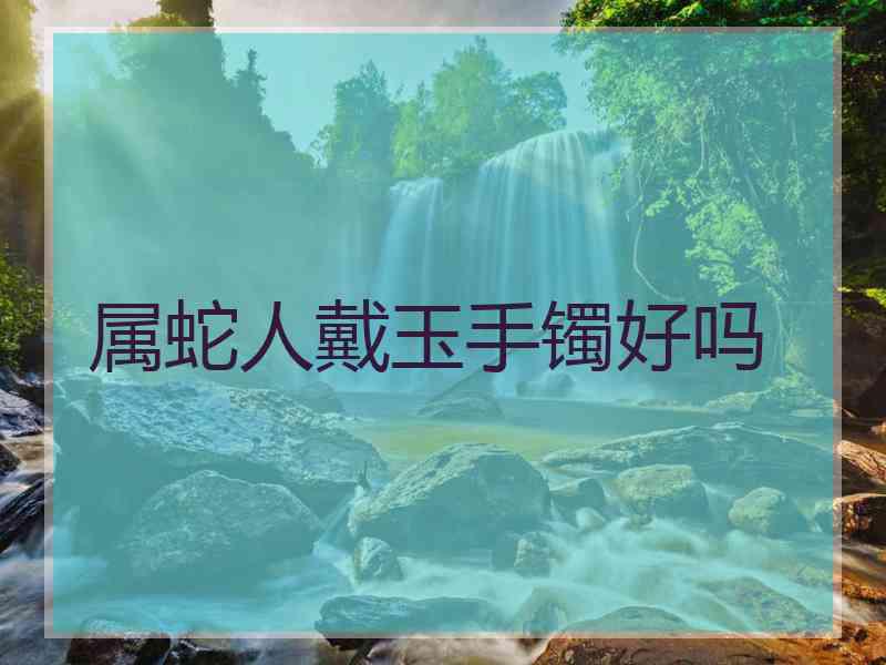 属蛇人戴玉手镯好吗