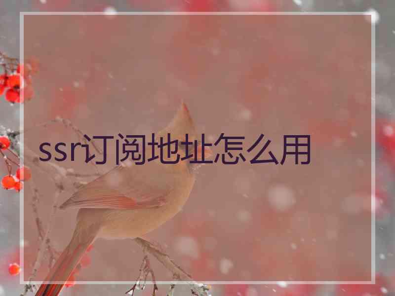 ssr订阅地址怎么用