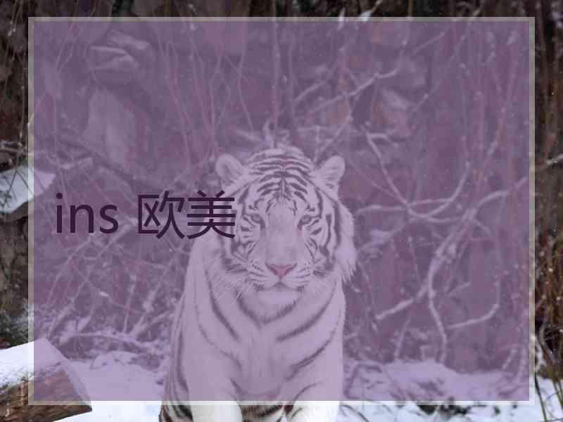 ins 欧美