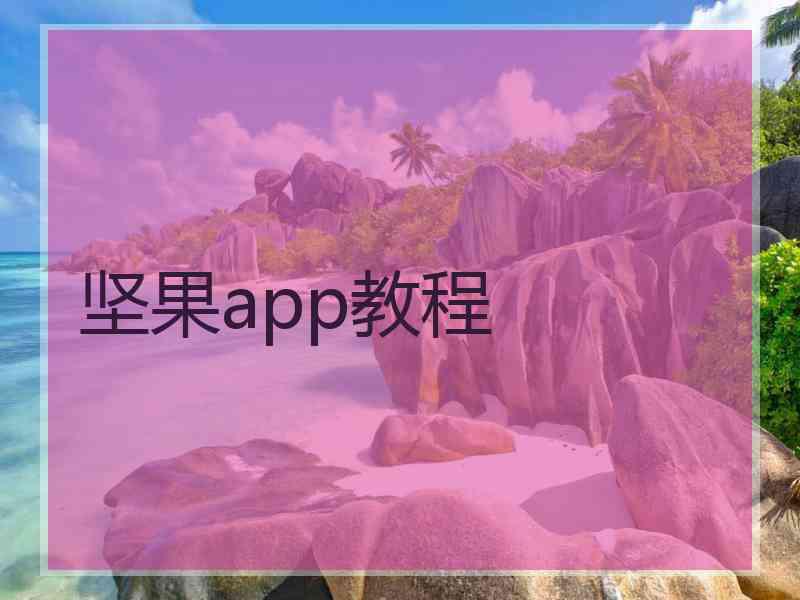 坚果app教程