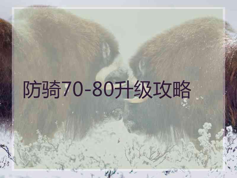 防骑70-80升级攻略