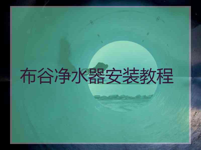 布谷净水器安装教程