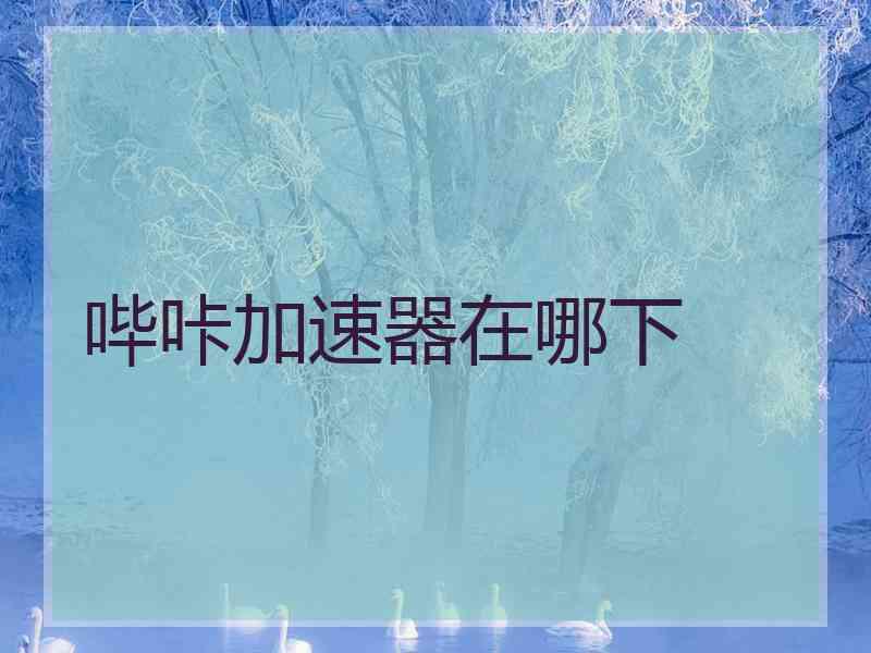 哔咔加速器在哪下