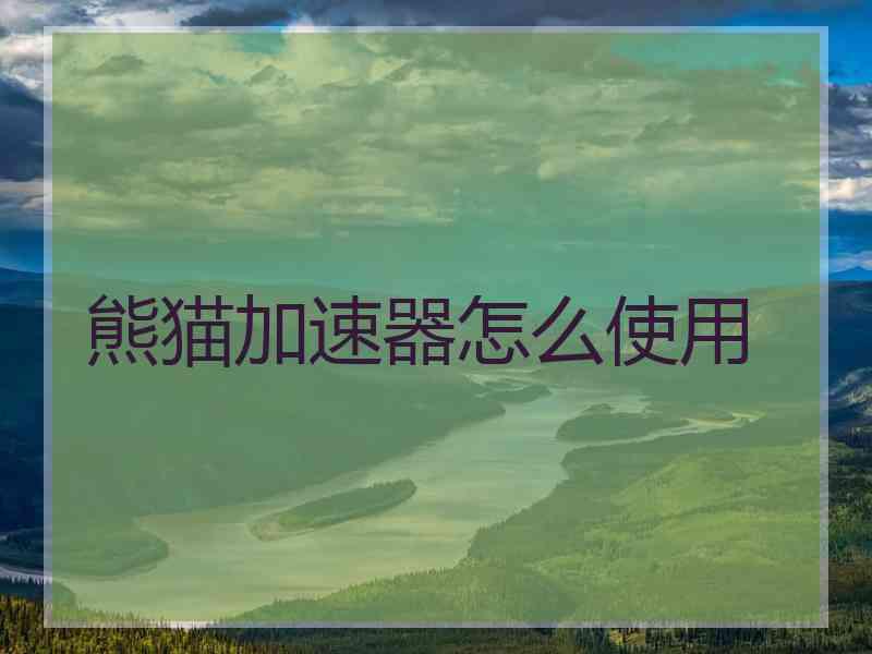 熊猫加速器怎么使用