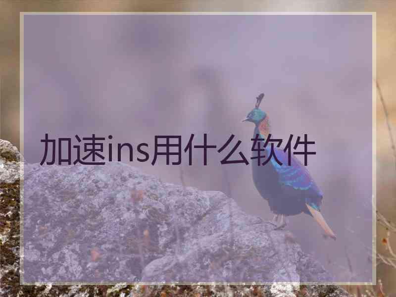 加速ins用什么软件