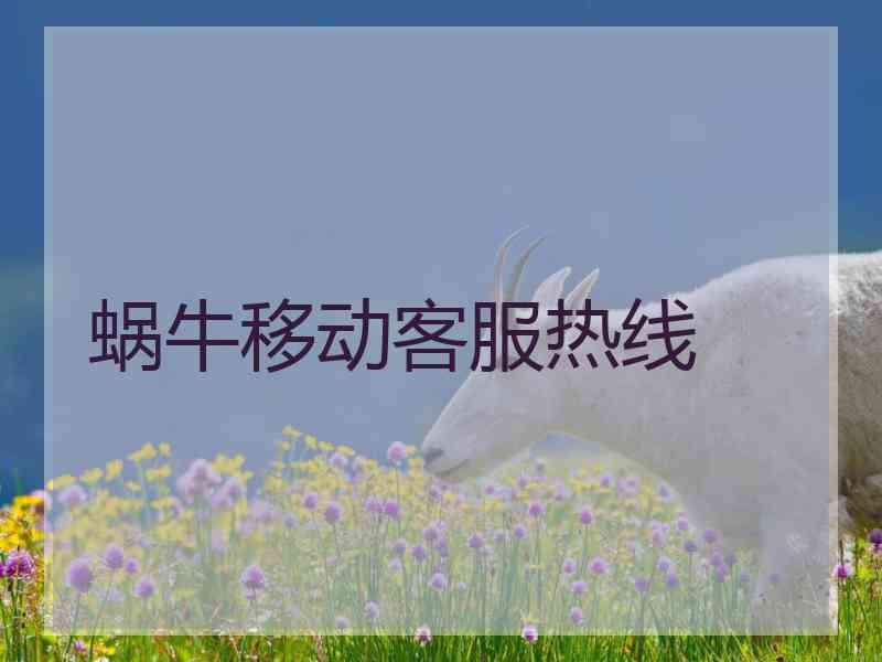 蜗牛移动客服热线