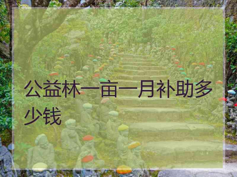 公益林一亩一月补助多少钱