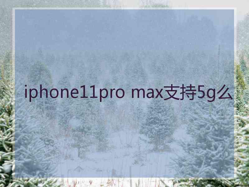 iphone11pro max支持5g么
