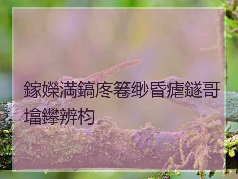 鎵嬫満鎬庝箞缈昏瘧鐩哥墖鑻辨枃