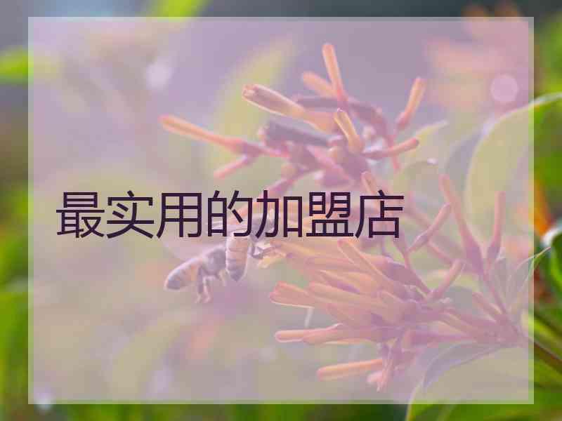 最实用的加盟店