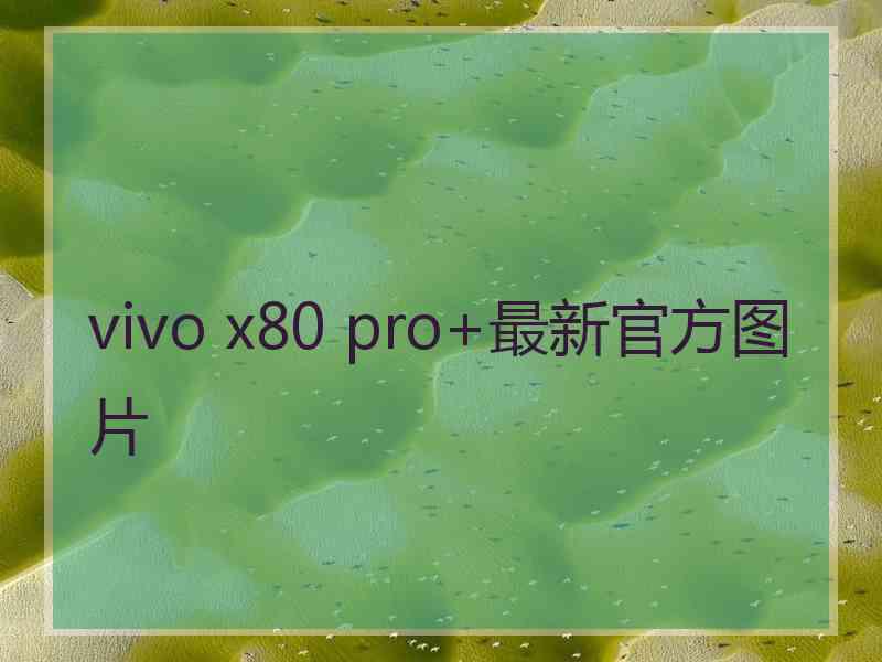 vivo x80 pro+最新官方图片
