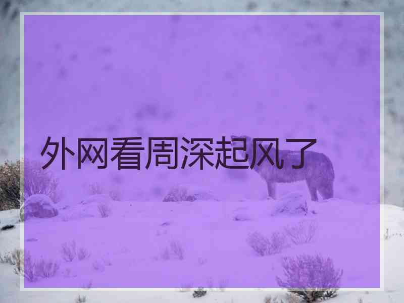 外网看周深起风了