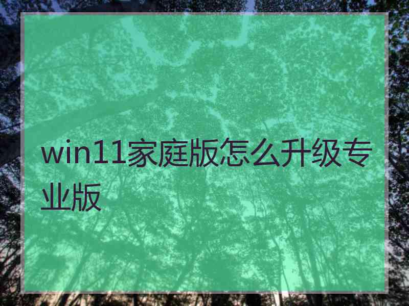 win11家庭版怎么升级专业版