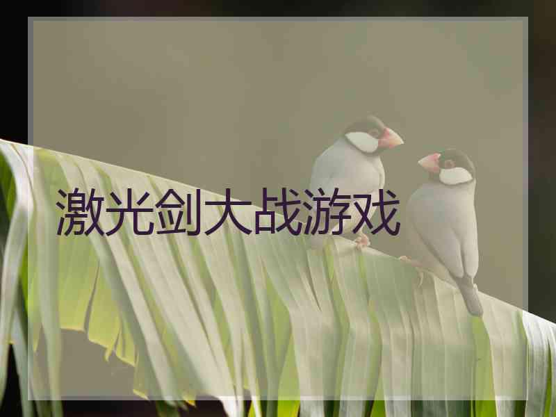 激光剑大战游戏