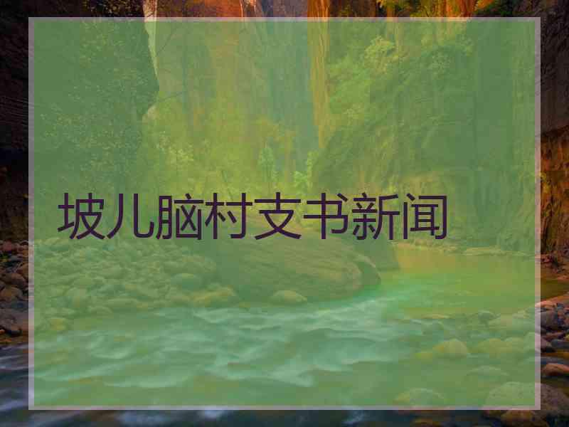 坡儿脑村支书新闻