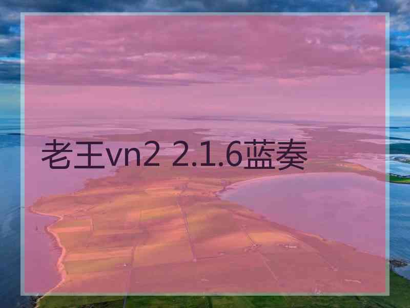老王vn2 2.1.6蓝奏