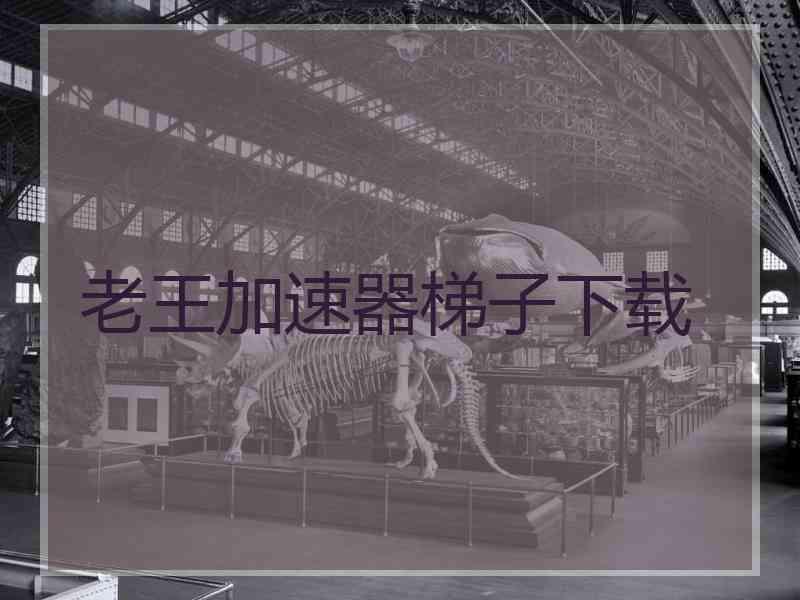 老王加速器梯子下载