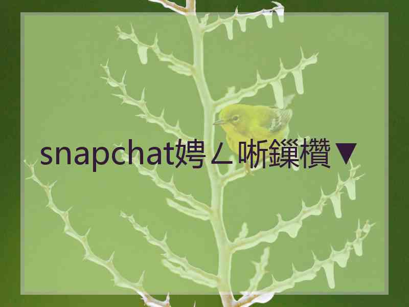 snapchat娉ㄥ唽鏁欑▼