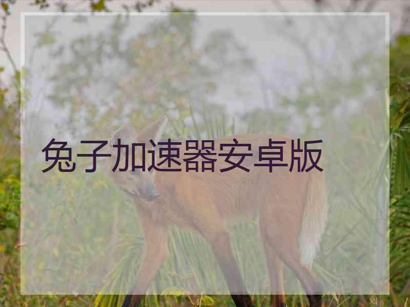兔子加速器安卓版