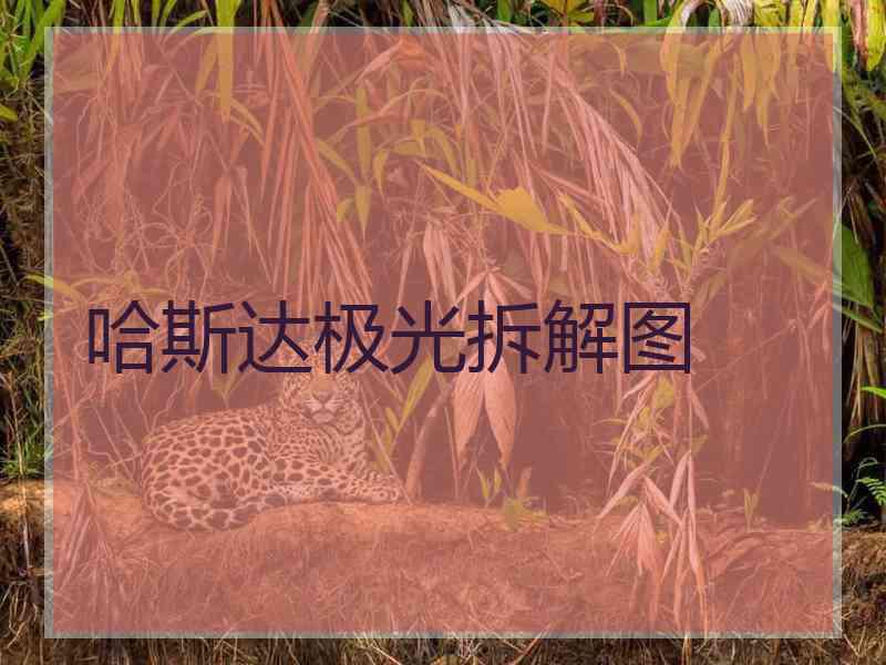 哈斯达极光拆解图