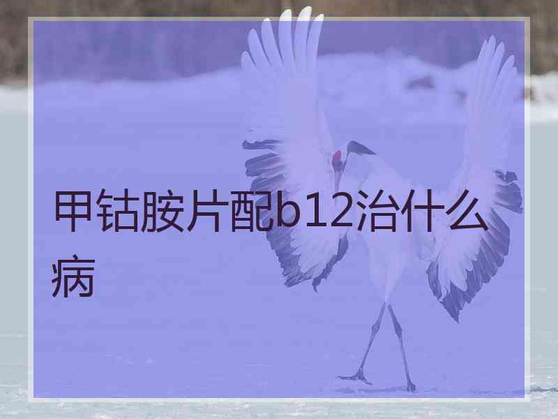 甲钴胺片配b12治什么病