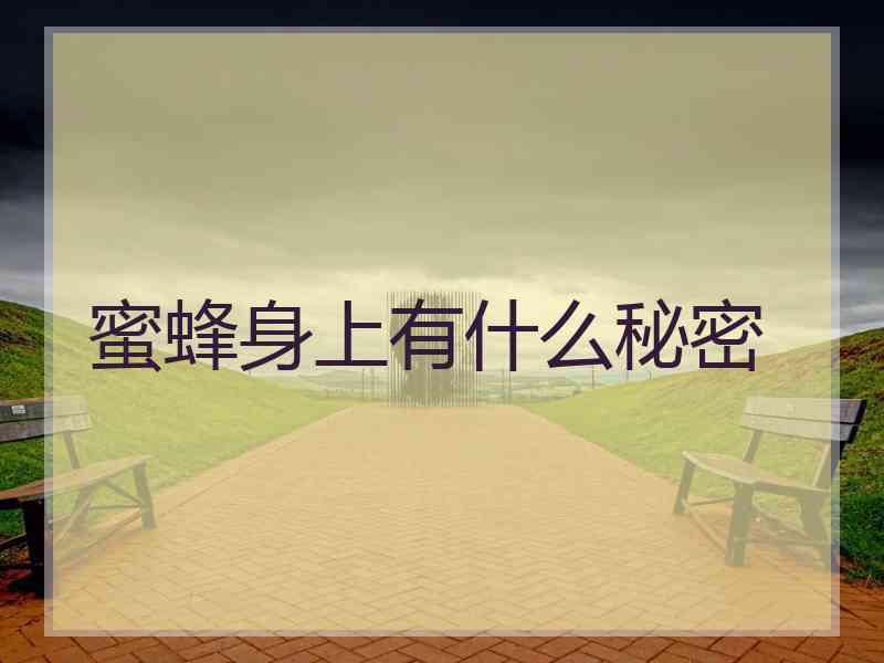 蜜蜂身上有什么秘密