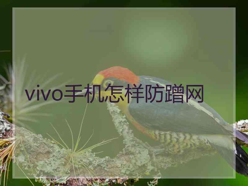 vivo手机怎样防蹭网