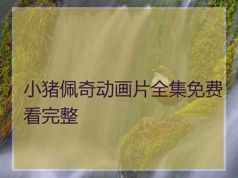 小猪佩奇动画片全集免费看完整