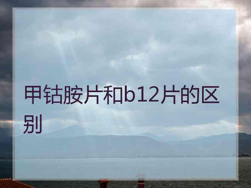 甲钴胺片和b12片的区别