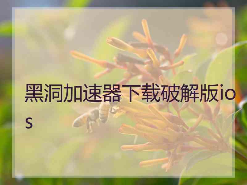 黑洞加速器下载破解版ios