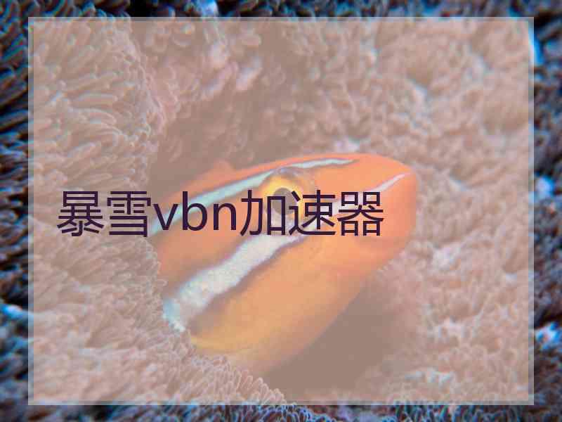 暴雪vbn加速器