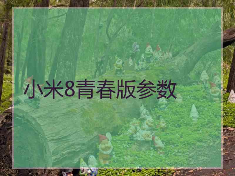 小米8青春版参数