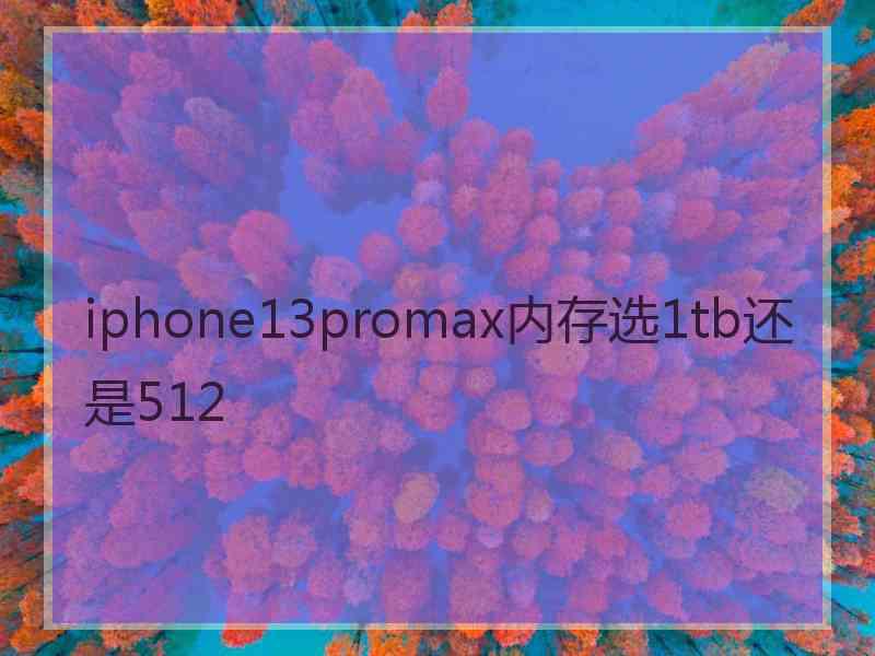 iphone13promax内存选1tb还是512