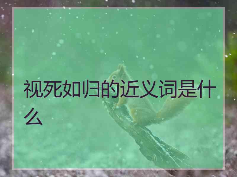 视死如归的近义词是什么