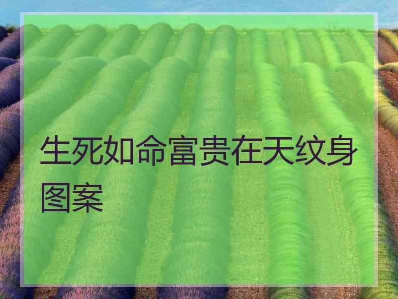 生死如命富贵在天纹身图案
