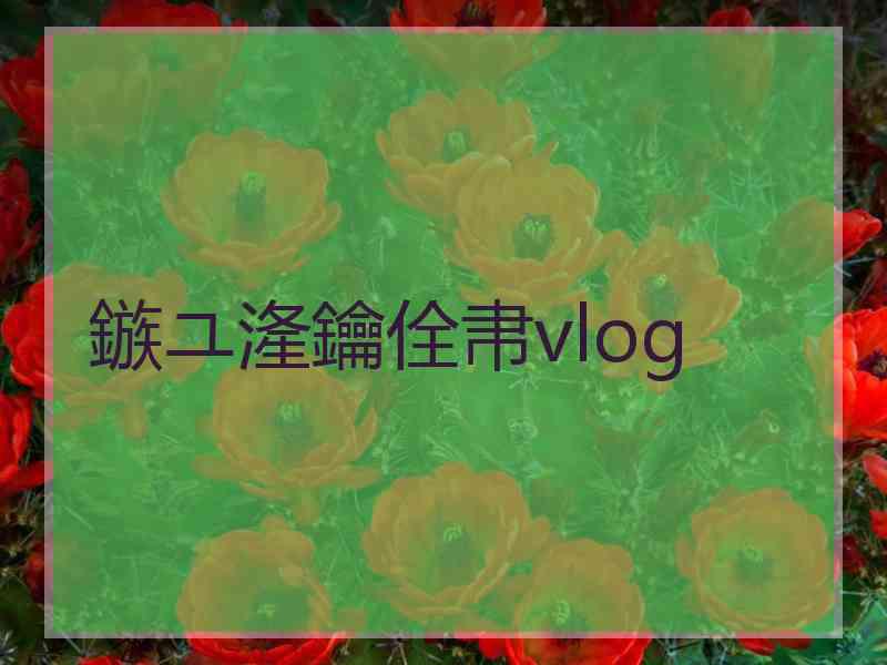 鏃ユ湰鑰佺帇vlog