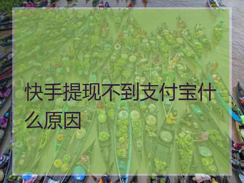 快手提现不到支付宝什么原因