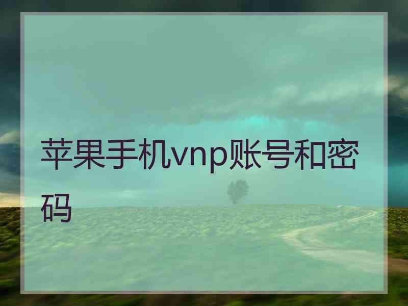 苹果手机vnp账号和密码