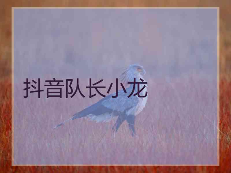 抖音队长小龙