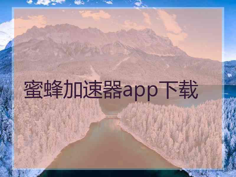 蜜蜂加速器app下载