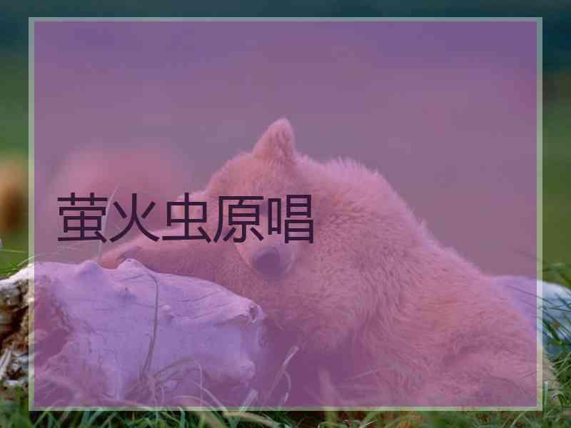 萤火虫原唱